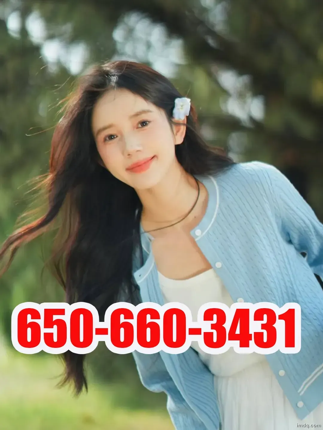 6.webp